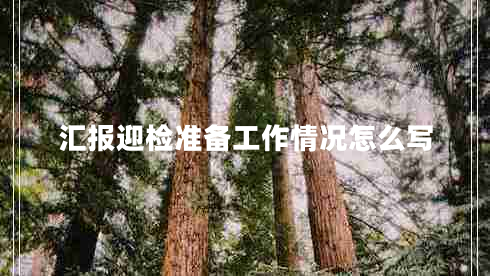 匯報迎檢準(zhǔn)備工作情況怎么寫