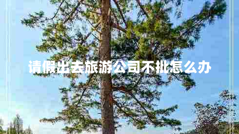 請假出去旅游公司不批怎么辦