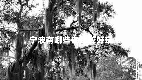 寧波有哪些島比較好玩