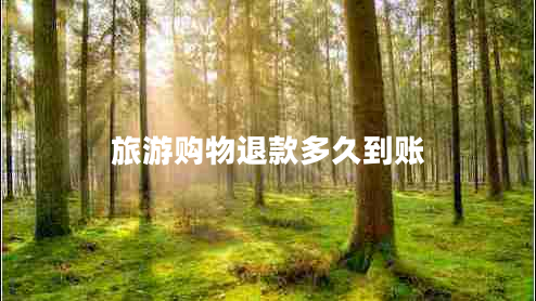 旅游購(gòu)物退款多久到賬
