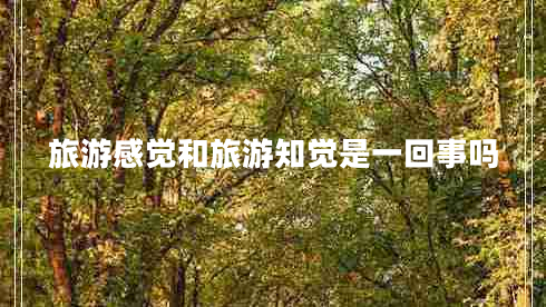 旅游感覺和旅游知覺是一回事嗎