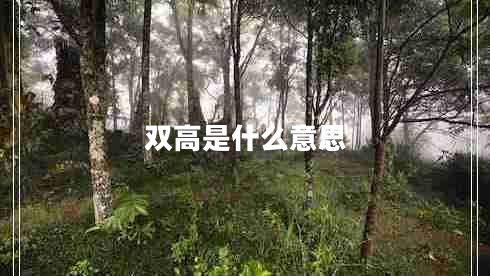 雙高是什么意思