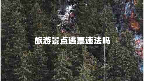 旅游景點逃票違法嗎
