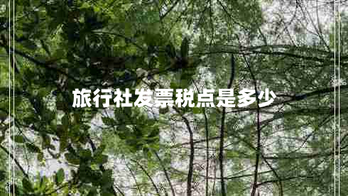 旅行社發(fā)票稅點是多少