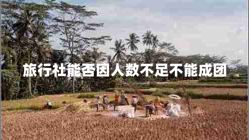 旅行社能否因人數不足不能成團