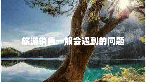旅游銷售一般會(huì)遇到的問題