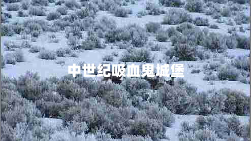 中世紀(jì)吸血鬼城堡