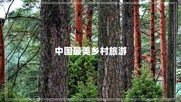 中國最美鄉村旅游