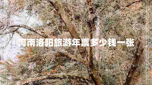 河南洛陽(yáng)旅游年票多少錢(qián)一張