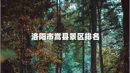 洛陽(yáng)市嵩縣景區排名