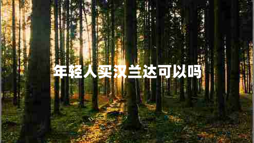 年輕人買(mǎi)漢蘭達(dá)可以嗎