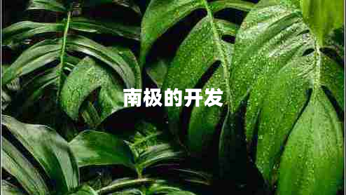 南極的開(kāi)發(fā)