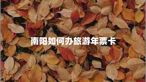 南陽(yáng)如何辦旅游年票卡