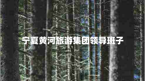 寧夏黃河旅游集團領(lǐng)導班子
