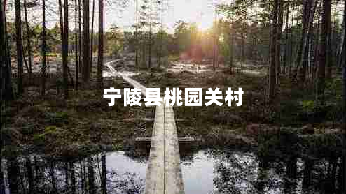 寧陵縣桃園關(guān)村
