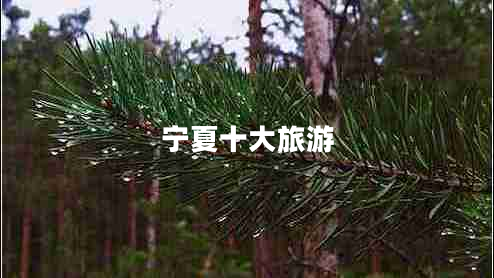 寧夏十大旅游