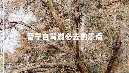 普寧自駕游必去的景點(diǎn)