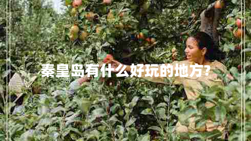 秦皇島有什么好玩的地方?