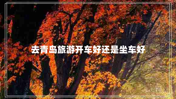 去青島旅游開(kāi)車好還是坐車好