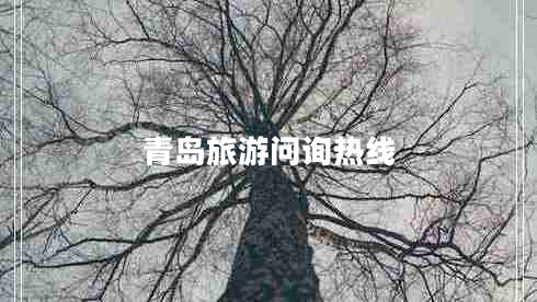 青島旅游問(wèn)詢(xún)熱線(xiàn)