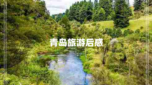 青島旅游后感