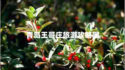 青島王哥莊旅游攻略圖