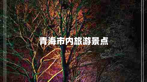 青海市內(nèi)旅游景點