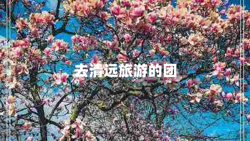 去清遠旅游的團