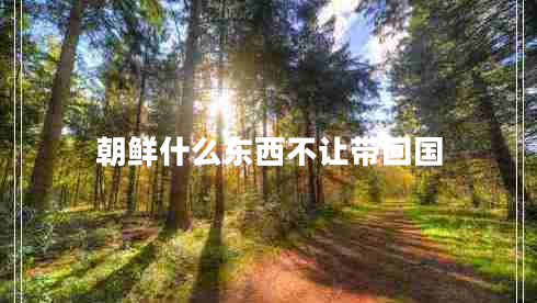 朝鮮什么東西不讓帶回國
