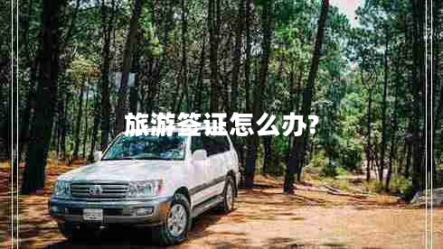 旅游簽證怎么辦?