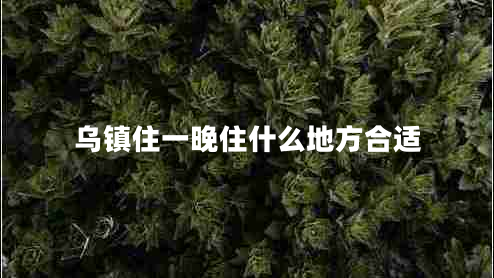 烏鎮住一晚住什么地方合適
