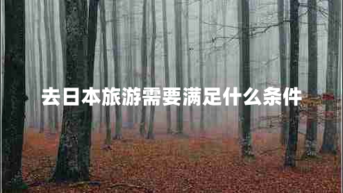 去日本旅游需要滿(mǎn)足什么條件