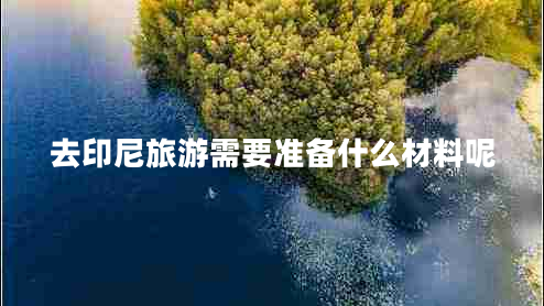 去印尼旅游需要準(zhǔn)備什么材料呢