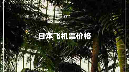 日本飛機(jī)票價格