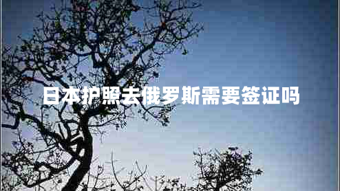 日本護(hù)照去俄羅斯需要簽證嗎