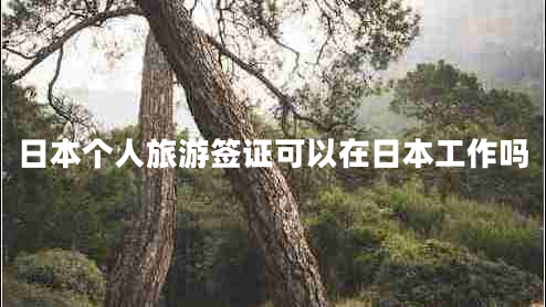 日本個人旅游簽證可以在日本工作嗎