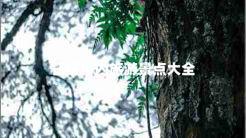 日照市內旅游景點(diǎn)大全
