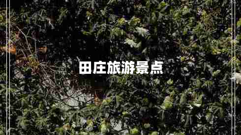 田莊旅游景點