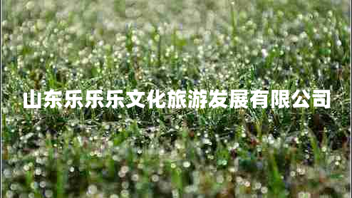 山東樂(lè )樂(lè )樂(lè )文化旅游發(fā)展有限公司