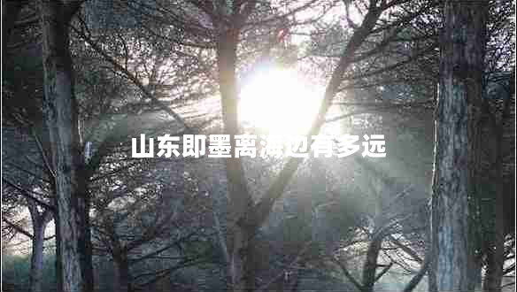 山東即墨離海邊有多遠