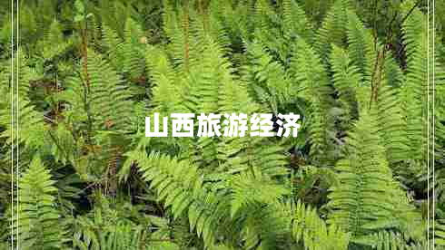 山西旅游經濟