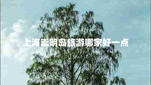 上海崇明島旅游哪家好一點