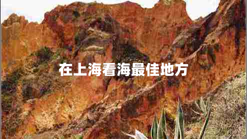 在上?？春Ｗ罴训胤? title=