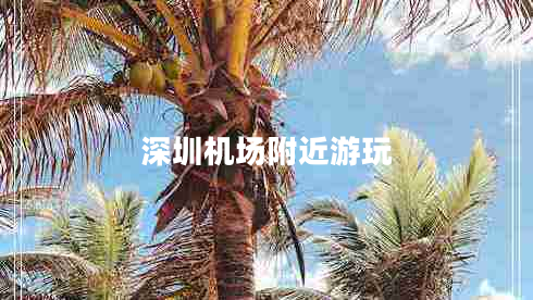 深圳機(jī)場(chǎng)附近游玩