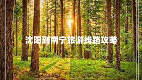 沈陽(yáng)到南寧旅游線(xiàn)路攻略