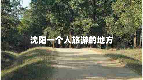 沈陽一個人旅游的地方