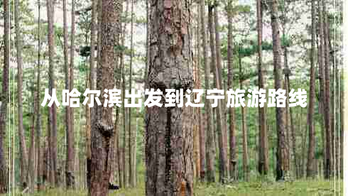 從哈爾濱出發(fā)到遼寧旅游路線(xiàn)