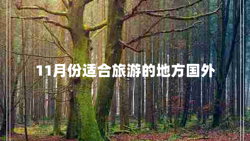 11月份適合旅游的地方國外