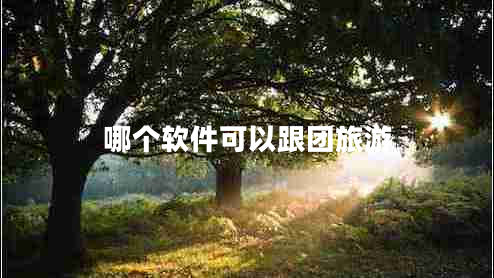 哪個(gè)軟件可以跟團旅游