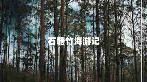 石塘竹海游記